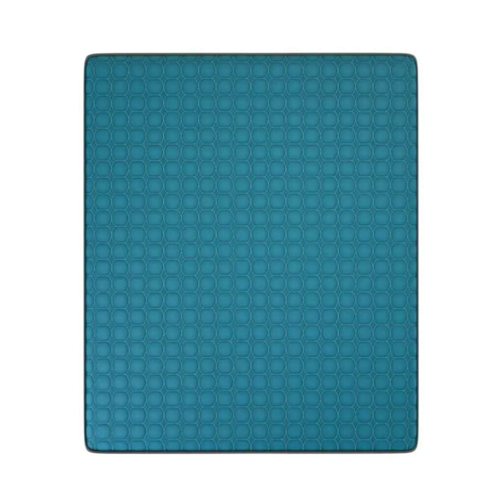 whatsapp image 2026 03 06 at 12.11.28 pm